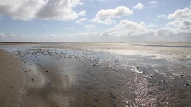 Das Wattenmeer - Ein Spiegel des Himmels (Deutschland/Niederlande)