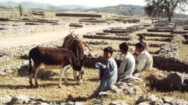 Taxila (Pakistan)