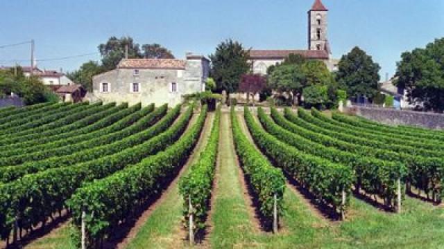 Saint Emilion (Frankreich)