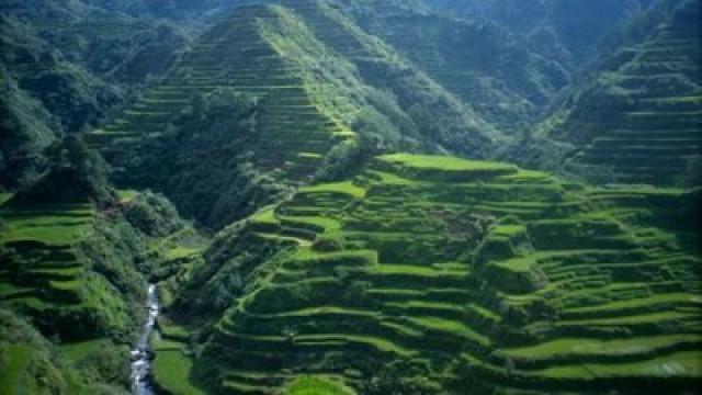 Die Reisterrassen der Ifugao (Philippinen)