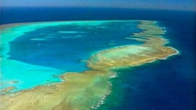 Great Barrier Reef (Australien)