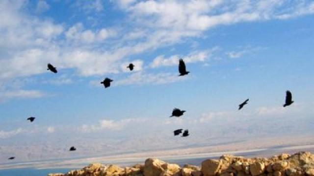 Masada – Eine Geschichte vom Überleben (Israel)