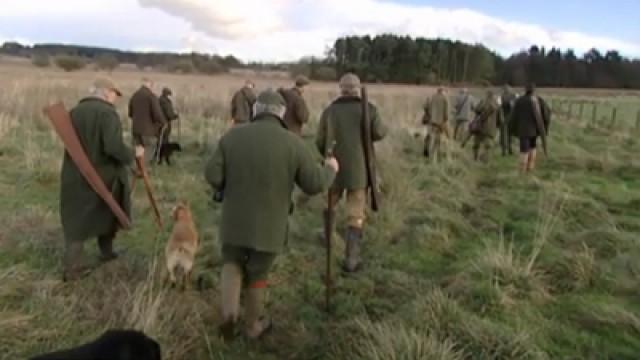 Aflevering 8