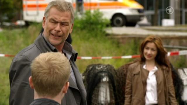 Der Schimmelreiter
