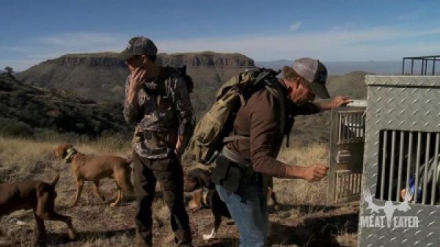 The Fair Chase: Arizona Mountain Lion