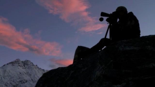 The Top of the Bottom of the World: New Zealand Tahr (1)
