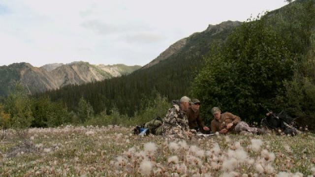 The Greatest Draw: Alaska Dall Sheep (1)