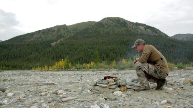 The Greatest Draw: Alaska Dall Sheep (2)