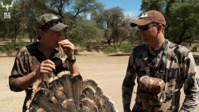 Sonoran Superbirds: Mexico Gould’s Turkey