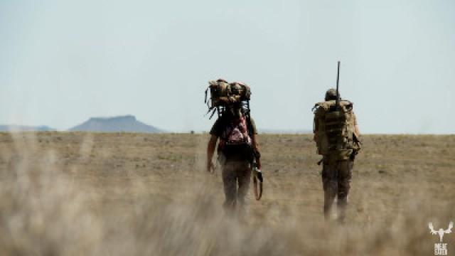 The Wide Open: New Mexico Antelope