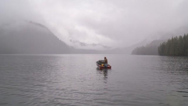 Sea Bear: Alaska Spring Bear and Seafood