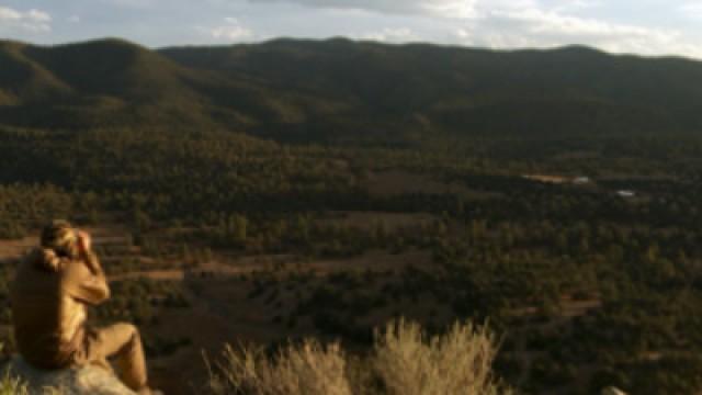 Gila Monster: New Mexico Bull Elk