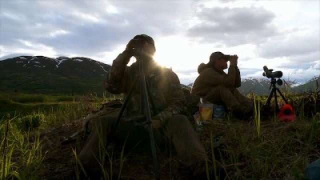 Alaska Bear Hunt (2)