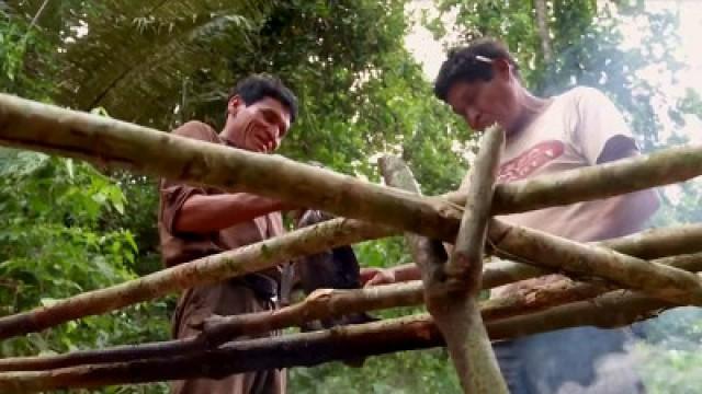Welcome to the Jungle: Adventures in Bolivia (2)