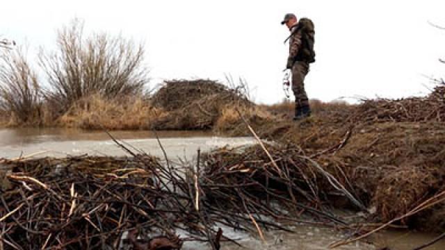 Prince of Wales: Fishing and Deer
