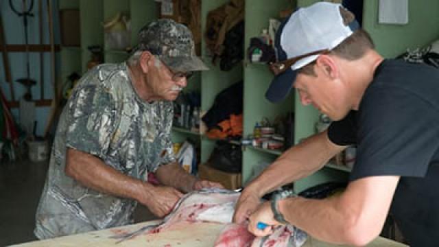 Prince of Wales: Sitka Blacktail Deer (1)