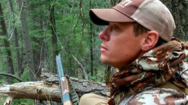 Prince of Wales: Sitka Blacktail Deer (2)