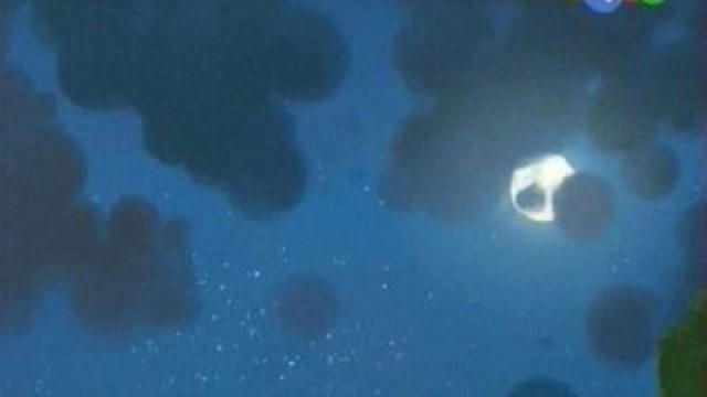 Starry Night