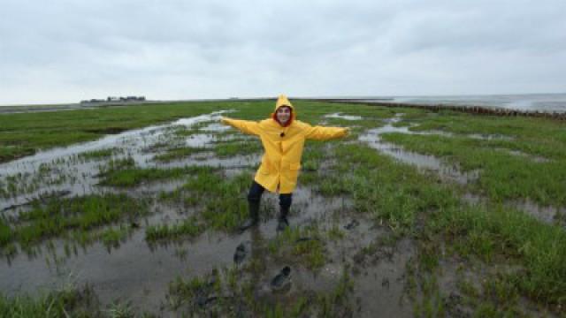 Der Hallig-Check
