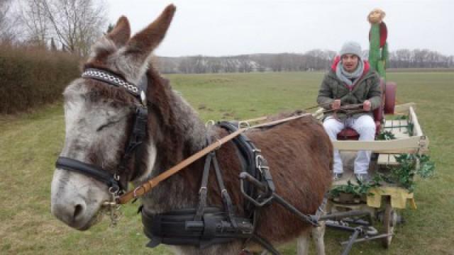 Der Transport-Check