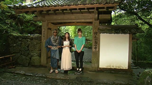 The Kyoto Live Action Chapter