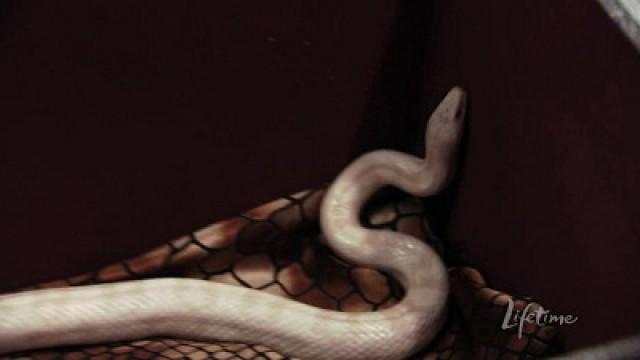 Animal Instinct