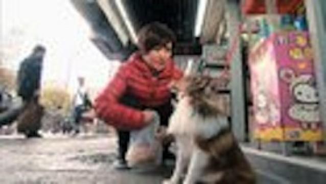 第105集 - 引狼入室偷狗仔