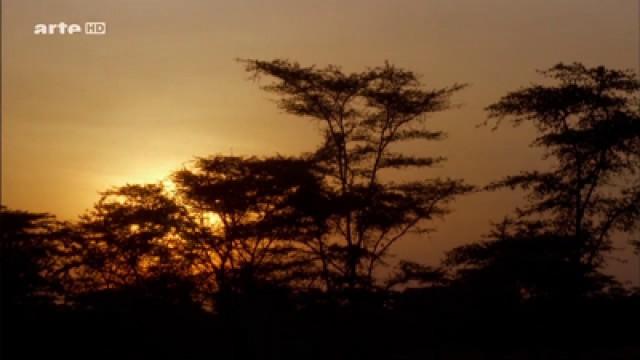 Okavango: Water in the Desert