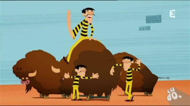 Bisonti astuti