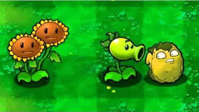 Plants vs. Zombies Wall-nut Gets Bitten