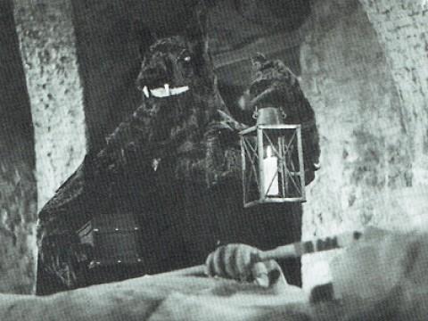 The Robbery