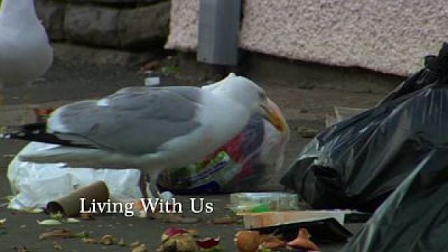Living with Us
