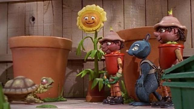 The Tortoise and the Pots