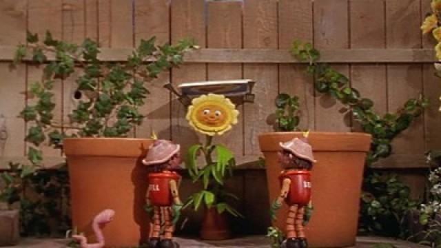 The Hottest Day