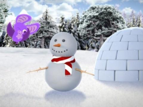Igloo
