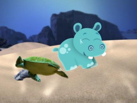 Sea Turtle