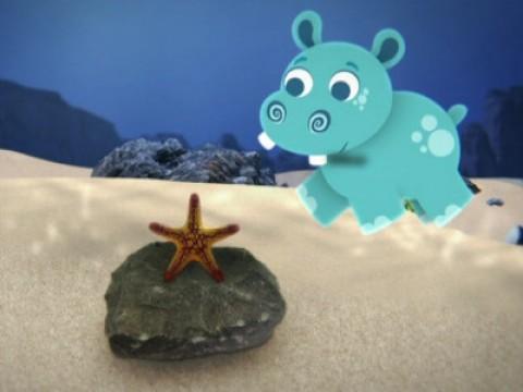 Starfish