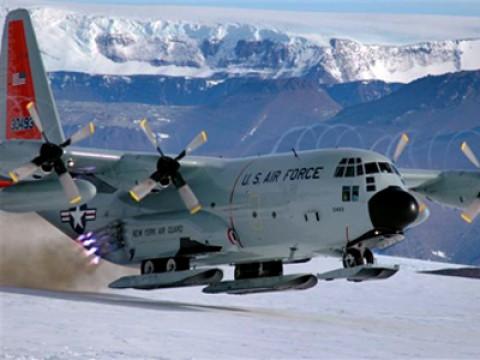 Skibirds