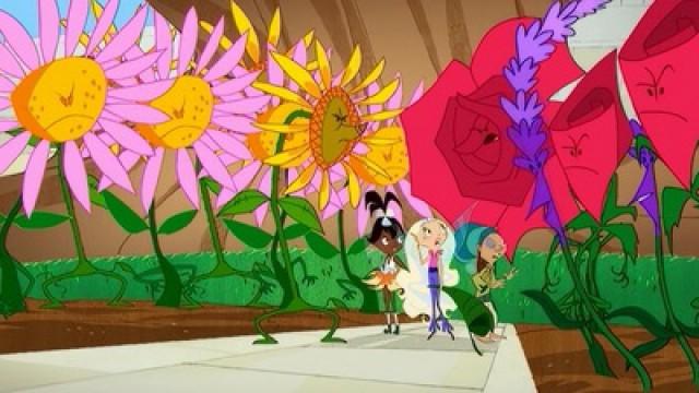 Flower Talk
