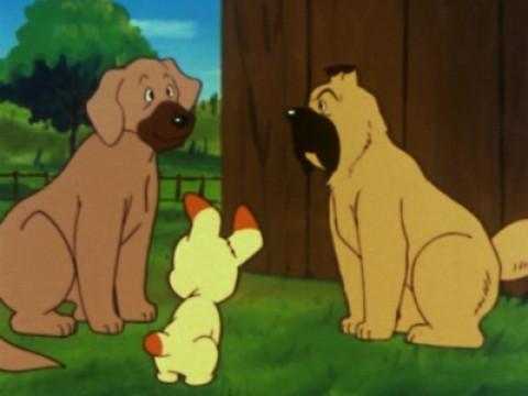 母を探して…川を流されてきた子犬