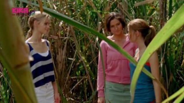 The Cane Field