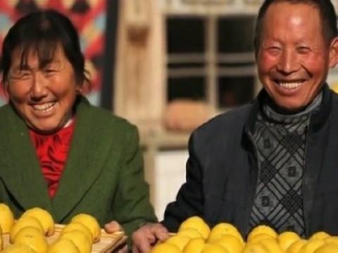 Gifts from Nature (自然的馈赠)