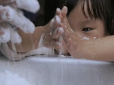 The Story of Staple Foods (主食的故事)
