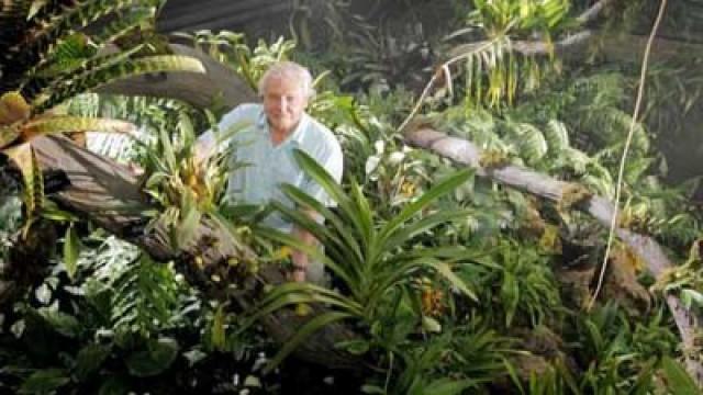 Vita negli Ambienti Tropicali
