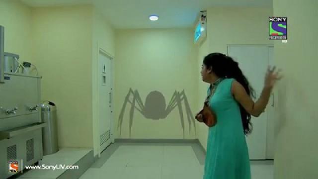 Killer Spider