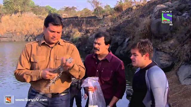 Piranha Fish Attack