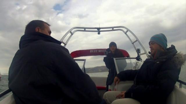 Bear Lake Beast; Vergas Hairy Man