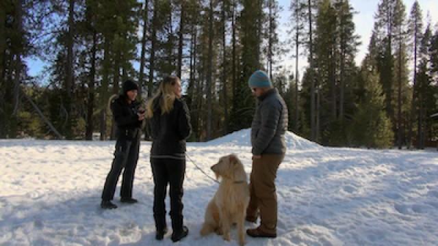 Lake Murray Beast / The Donner Party