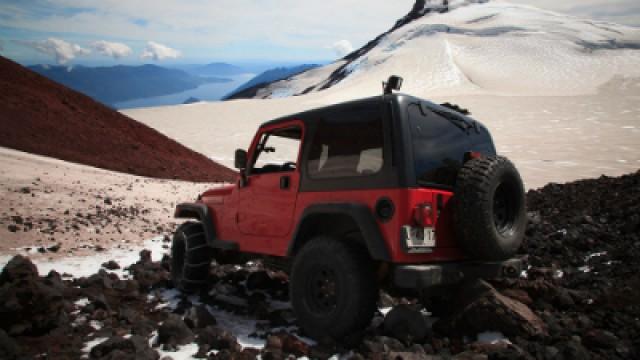 Who Won? Car vs Wild
