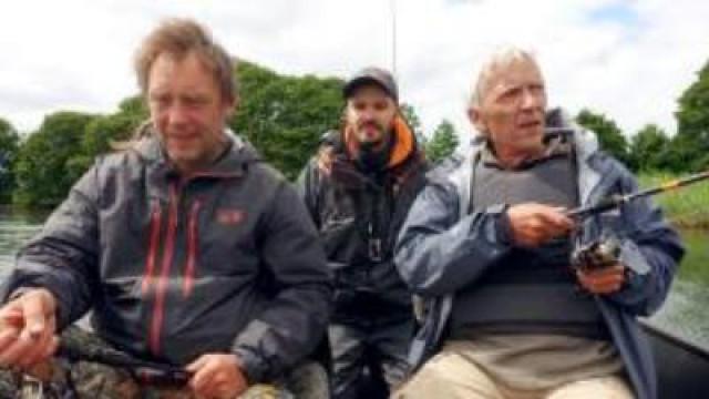 En aborre i Skanderborg Sø